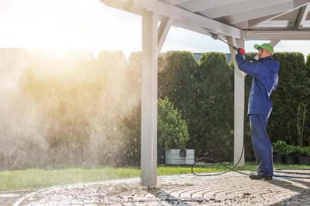 Best Gutter Cleaning  in Porter, IN